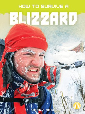 cover image of How to Survive a Blizzard